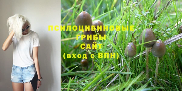 спиды Горно-Алтайск