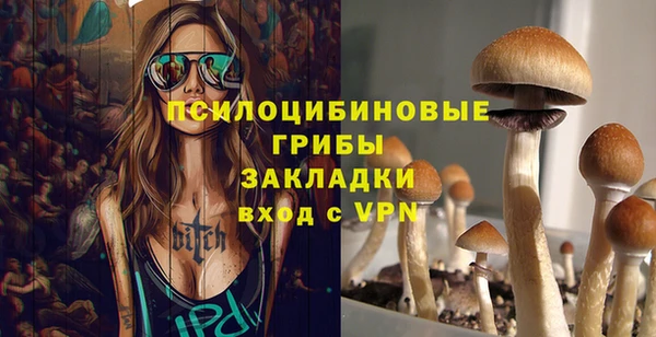 спиды Горно-Алтайск