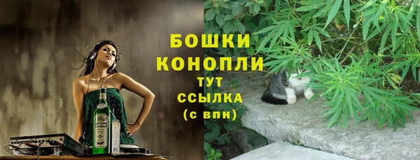 спиды Горно-Алтайск