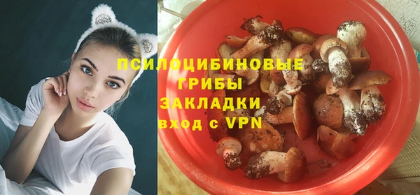 ПСИЛОЦИБИНОВЫЕ ГРИБЫ Горняк