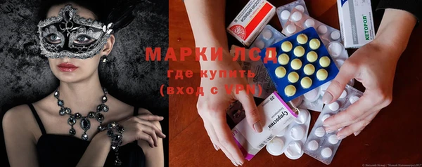 ПСИЛОЦИБИНОВЫЕ ГРИБЫ Горняк