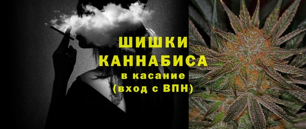 ПСИЛОЦИБИНОВЫЕ ГРИБЫ Горняк