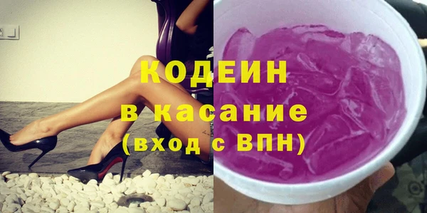 ПСИЛОЦИБИНОВЫЕ ГРИБЫ Горняк