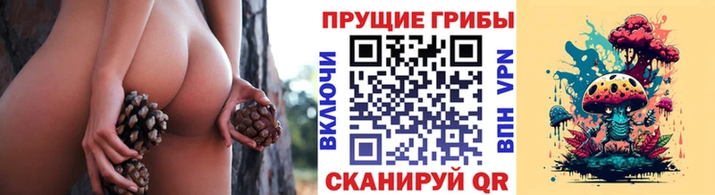 дарнет шоп Елабуга mega ONION Псилоцибиновые грибы Magic Shrooms